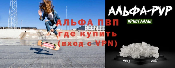 стафф Алексин