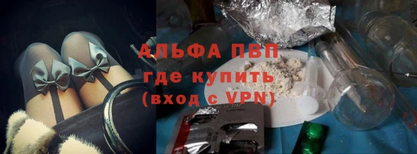 стафф Алексин