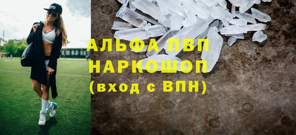 стафф Алексин
