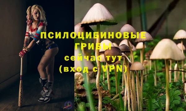марки lsd Алексеевка