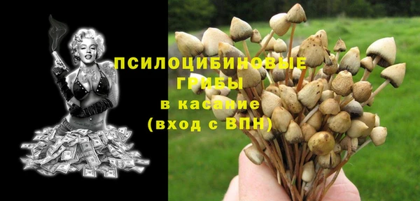 стафф Алексин