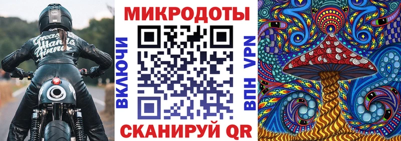 даркнет сайт  Боровичи  мориарти наркотические препараты  Псилоцибиновые грибы мицелий 